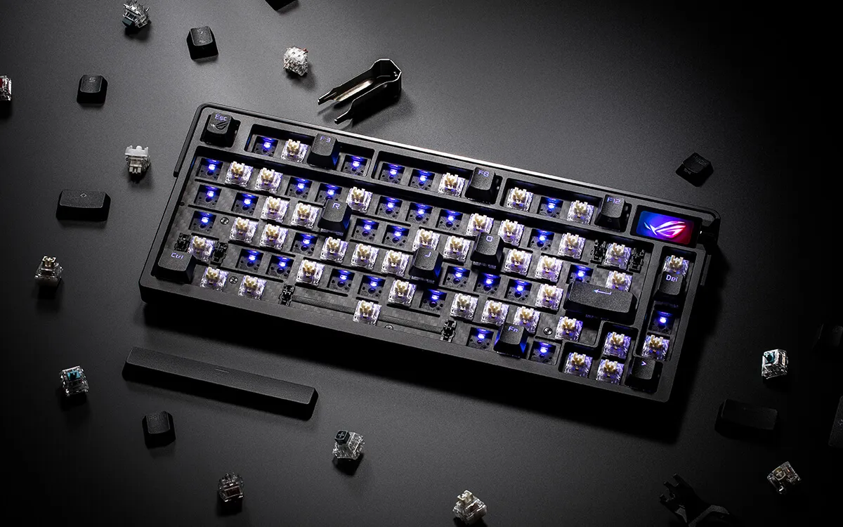 Hot-Swappable Switches