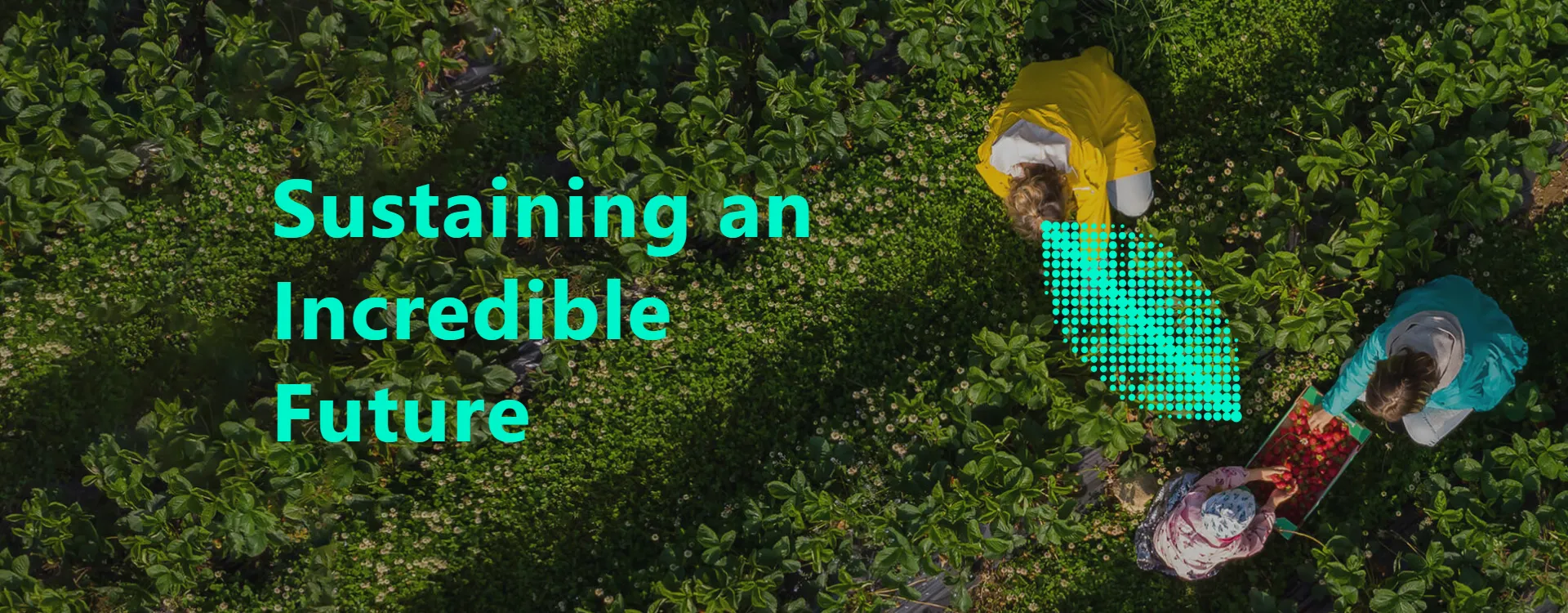 Sustaining an Incredible Future