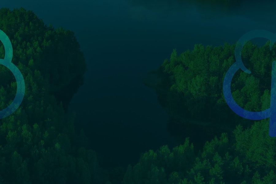 Sustaining an incredible future