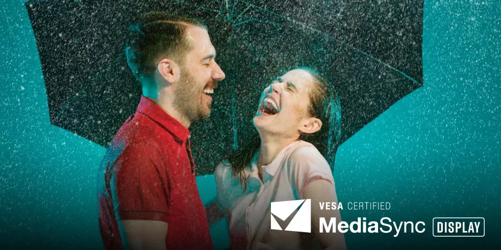 Vesa Certified