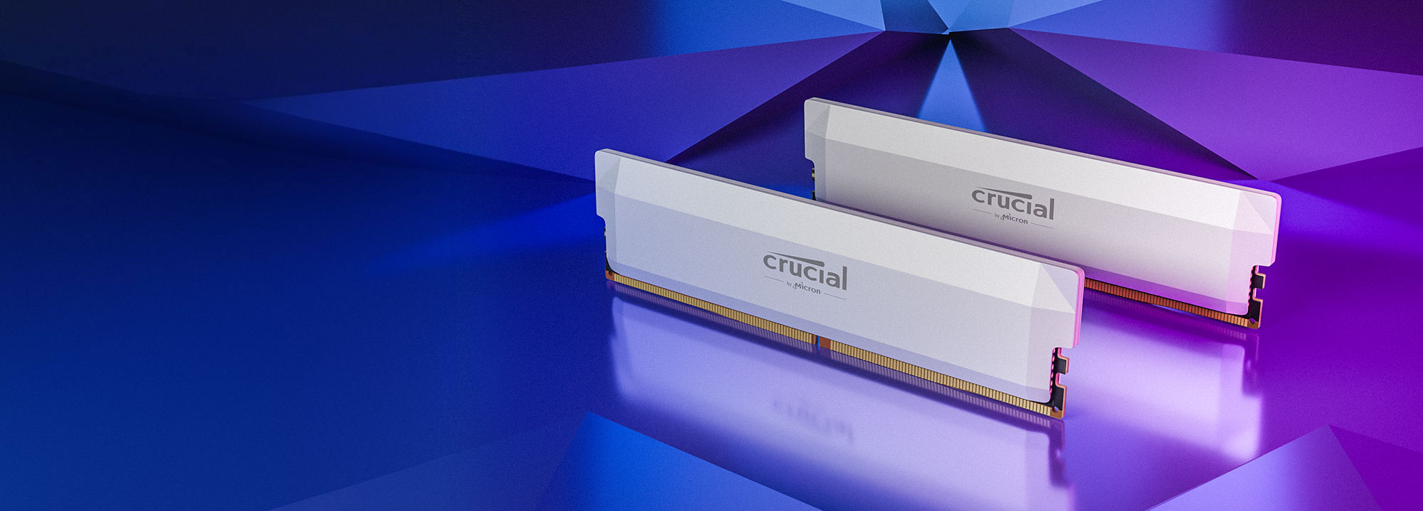 Crucial Pro 32GB (16GBx2) DDR5-6000 Memory - White
