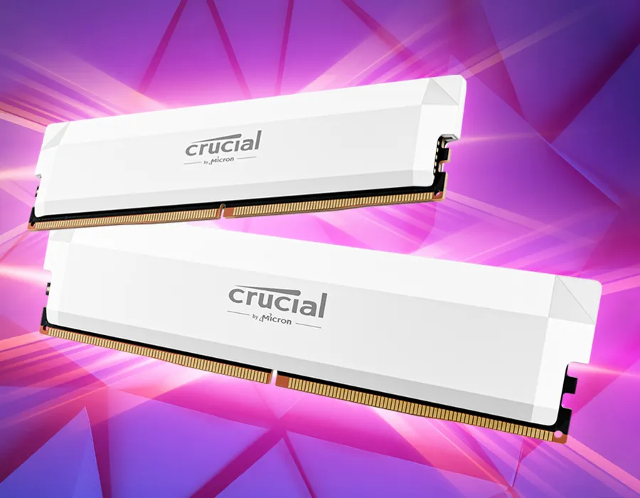 Crucial Pro 白 ddr5 6400MT/s white Crucial Pro Overclocking 32GB DDR5 White | Scorptec Computers