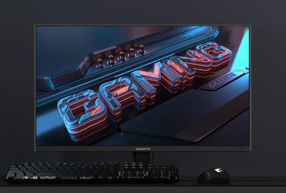 Gigabyte GS25F2 - 25