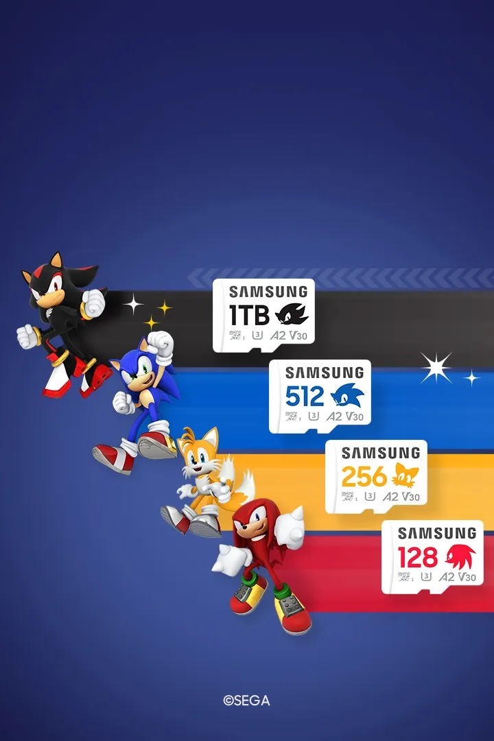 PRO Plus Sonic the Hedgehog™ microSD