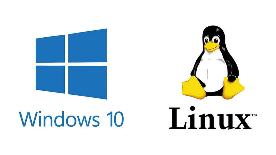 Cross-Platform Compatibility